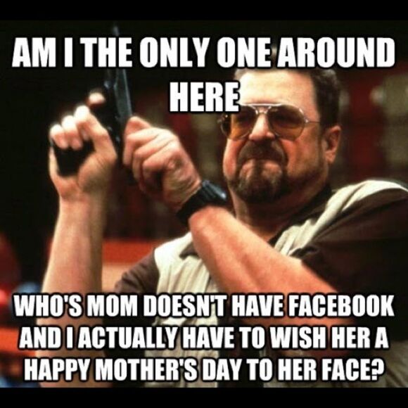 Come look at these if u need a giggle today - Picture 11 of 14